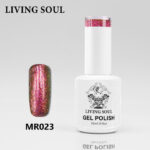 Gel MR023